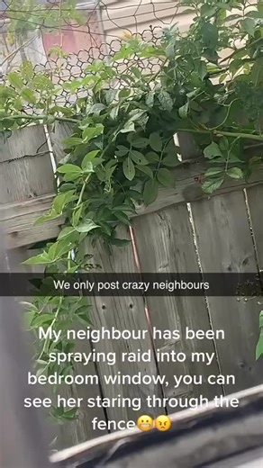 Crazy Neighbors on Instagram: "Ever had that one neighbor who’s just a little too extra? 😅 From loud parties to bizarre pranks, these wild moments make life way more interesting! 🤪 Tag your neighbor and let them know they’re part of the chaos. 😂 #CrazyNeighbors #NeighborhoodDrama #NeighborGoals #LifeWithNeighbors #EpicNeighbors #FunnyNeighbors #LOL #ViralMoments #UnbelievableNeighbors #GoodTimes #NeighborsBeLike #ComedyGold #ReelLife #Instagood #ViralReels #neighborsfromhell"