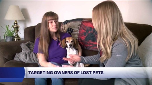 An Oak Creek resident searching for a lost dog is being targeted by scammers