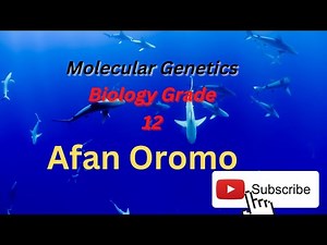 Biology Grade 12 lesson 2 in Afan Oromo-Molecular Genetics
