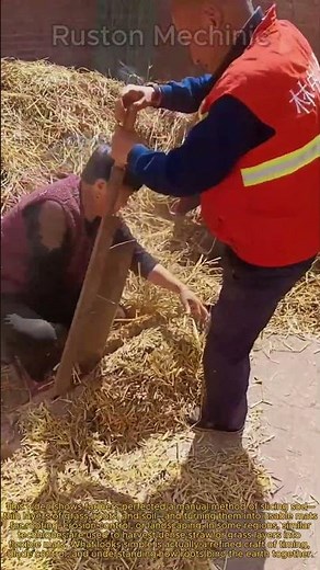 Ancient Skills The Secret to Perfect Hand-Cut Sod: Traditional Method How Manual Straw Mats
