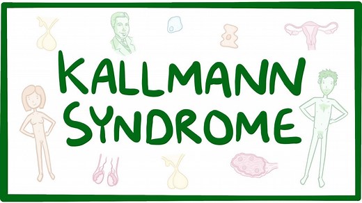 Kallmann syndrome: Video, Causes, & Meaning | Osmosis