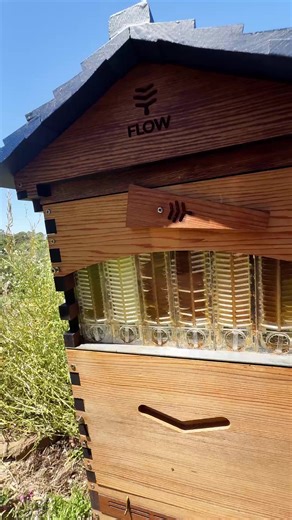 It's our 11th Birthday here at Flow Hive 🎉 To celebrate this incredible milestone, we have a very sweet birthday offer to help kick-start your beekeeping adventure this spring. Ready to start your beekeeping journey? Link in bio 💛 #flowhive #beekeeping #honey #birthday