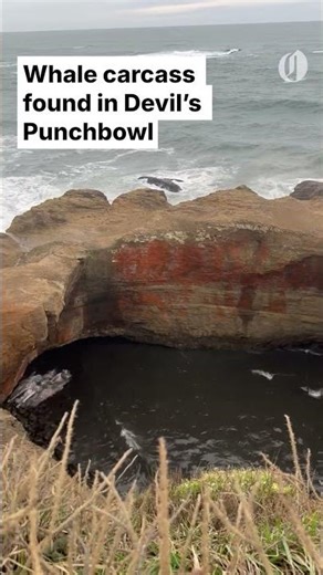 Something is floating inside the Oregon coast’s Devils Punchbowl