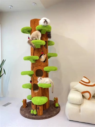 Luxury Cat Tree Looks Like Tree😍#mewcats #cat #catlover #cattok #catstiktokers #cattree