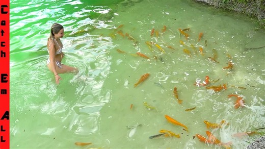 Hidden $1,000,000 Exotic Fish Pond You Can Actually Swim In