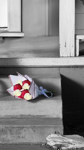 💐❌ www.thalia.com | Thalia