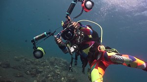 This was the second attempt to make a film about freedivers inside the Liberty Wreck. I can’t say it failed, but it could have turned out significantly better without the current. I’ll make another attempt in April. 04.10.2024 Liberty Music by WYS - Trampoline | Ocean Reality Channel