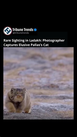 1.2K views · 32 reactions | Recently, in the rugged high-altitude...