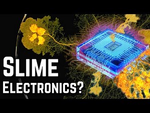 Bio-Computers and Electrical Control of Fungi, Slime, & Plants