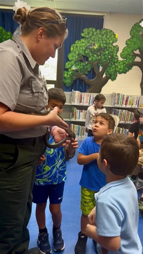 🐍 | Adair County Public Library