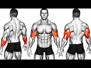 The Perfect 10 Exercises To Build BIGGER 3D ARMS💪(Get MASSIVE Arms)