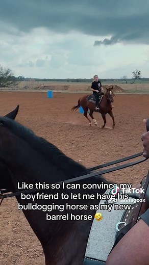 Best Barrel Racing Techniques for Rodeo Success