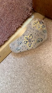 1.7K views · 9.1K reactions | So confused why there was a rock in the bathroom during a final walkthrough #rocks #jokes | Jesse Wiser | Facebook