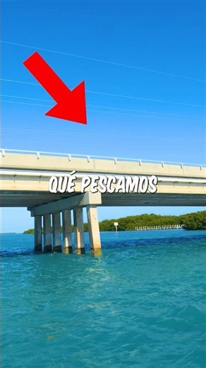 Pescando bajo un puente POPULAR! #cortos