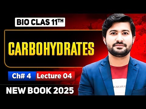 Carbohydrates | Classification of Carbohydrates | Biomolecules class 11 biology