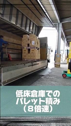 【低床倉庫でのパレット積み〜4トンウイング車〜】#運送会社 #パレット #8倍速 #積込み #配送ドライバー #大阪府#摂津市#共同配送 #倉庫