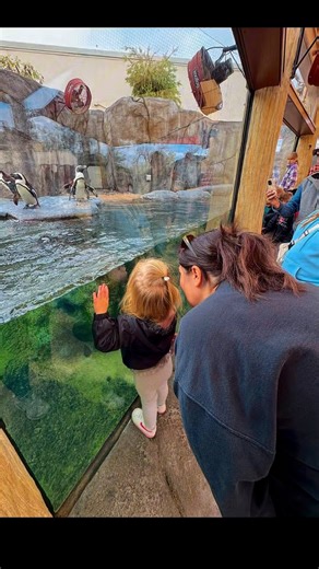 Cameron Park Zoo with the kids today! | Austin Korynas