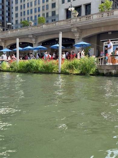 1.8K views · 28 reactions | Amy Powers on Reels | Facebook