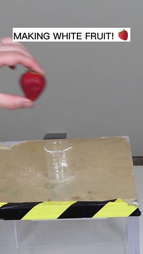 125K views · 972 reactions | Taking the color out of food looks weird! #reels #science #theactionlab #chemistry #food #colors | The Action Lab | Facebook