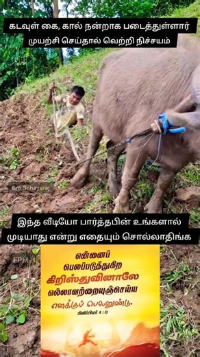 முயன்றால் வெற்றி ✝️/ #tamilchristian #tamilchristianmessage #tamilchristiansongs #tamilviralvideos