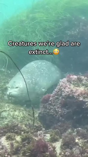 Terrifying Extinct Creatures: A Look Back at History