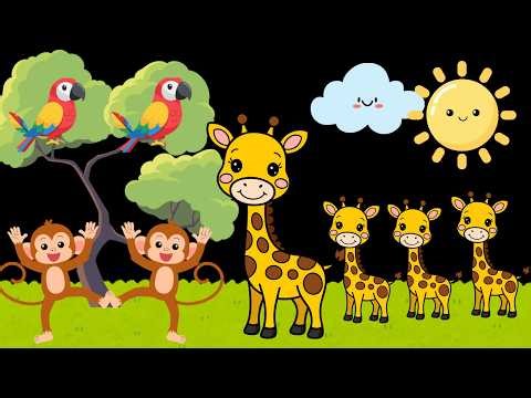 Monkey's Adventure Baby Sensory with High Contrast and Calming Music