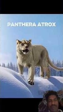 The Biggest Big Cat in History 🦁 | American Lion #shorts #factlinker
