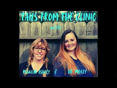 Case Study: Cryptorchid Tumor