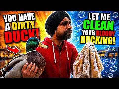 let me clean your ducks
