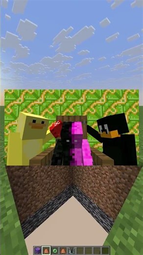 Who did the song the best? 🤔🔥#minecraft #trend