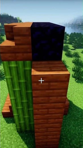 minecraft: a green nether portal in minecraft!!!😱😱#minecraft #shorts