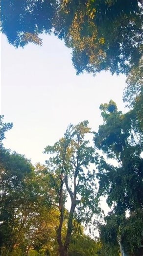 Song Gaane Gaane ♥️ #songgaanegaane #nature #trending #shortsviral #love