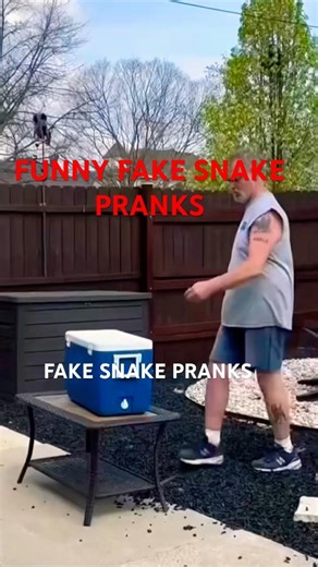 Fake Snake Prank Compilation 😱😂 #shorts