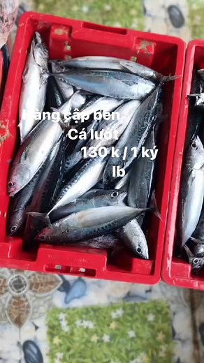 Suong Suong on Reels