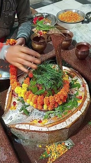 If You Summon Lord Shiva, I’ll Pay You $1,000,000! ⚡