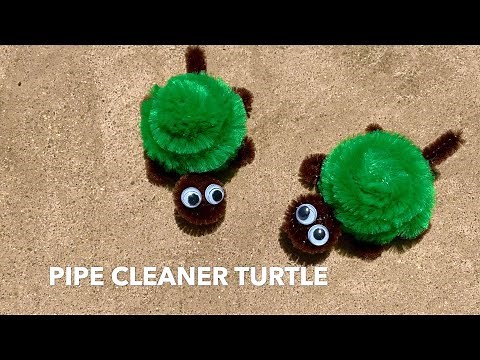 Pipe Cleaner Turtle Craft