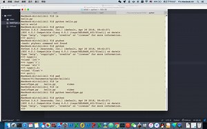 python基本数据类型