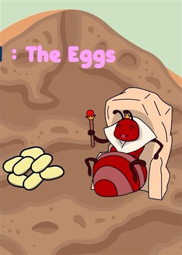 Queen Ant Laying Eggs