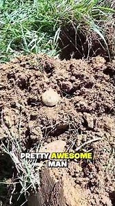 FIRST SWING, FIRST FIND 🔥 #metaldetecting #history #garrett