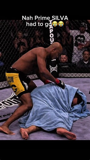 Anderson Silva UFC Highlights and Insights