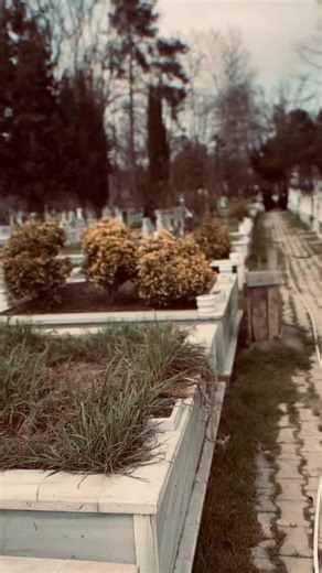 Elif Kaya (@elif.esma19) adlı kullanıcının orijinal ses - Elif Kaya ile oluşturduğu videoları