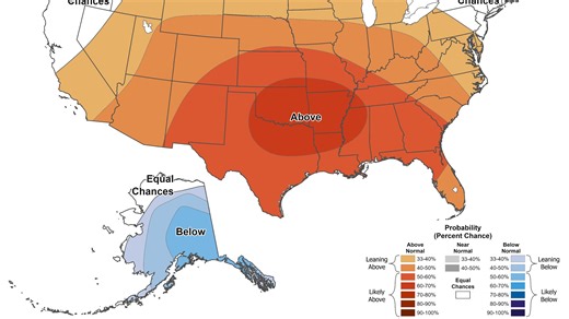 Florida cold snap: 'Winter' returns next week