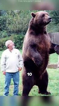 The WILDEST moments ever captured on camera.