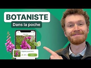 Quelle est cette fleur ? L'application gratuite qui vous aide simplement