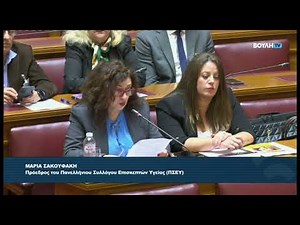 Συμμετοχή του ΠΣΕΥ στη Διαρκή Επιτροπή Κοινωνικών Υποθέσεων της Βουλής - ΠΣΕΥ