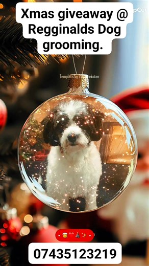 regginalds Dog grooming DECEMBER GIVE AWAY, share and like regginalds Dog grooming page and be in with the chance of winning a free bath and blow-dry. Winner will be chosen at random on the 10th December. Book your Xmas groom on 07435123219. | regginalds Dog grooming | Facebook