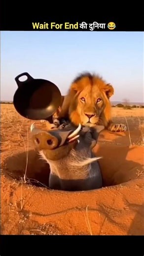 जानवरों के gajab कारनामें 😂 wait for twist 😂 #funny #shorts #animals