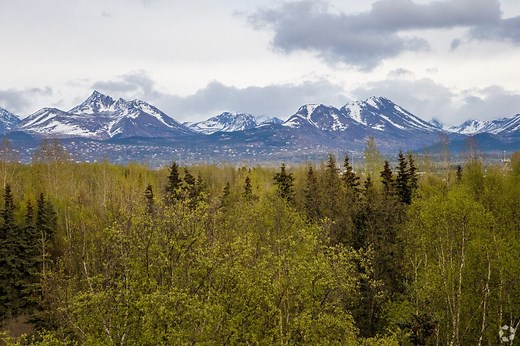 Apartments for Rent in Anchorage AK - 262 Rentals | Apartments.com