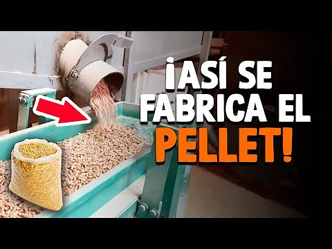 Cómo Se Fabrica El PELLET? [Proceso En Fábrica]