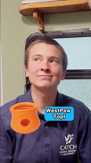 Pro Dog Trainer Rates Dog Toys